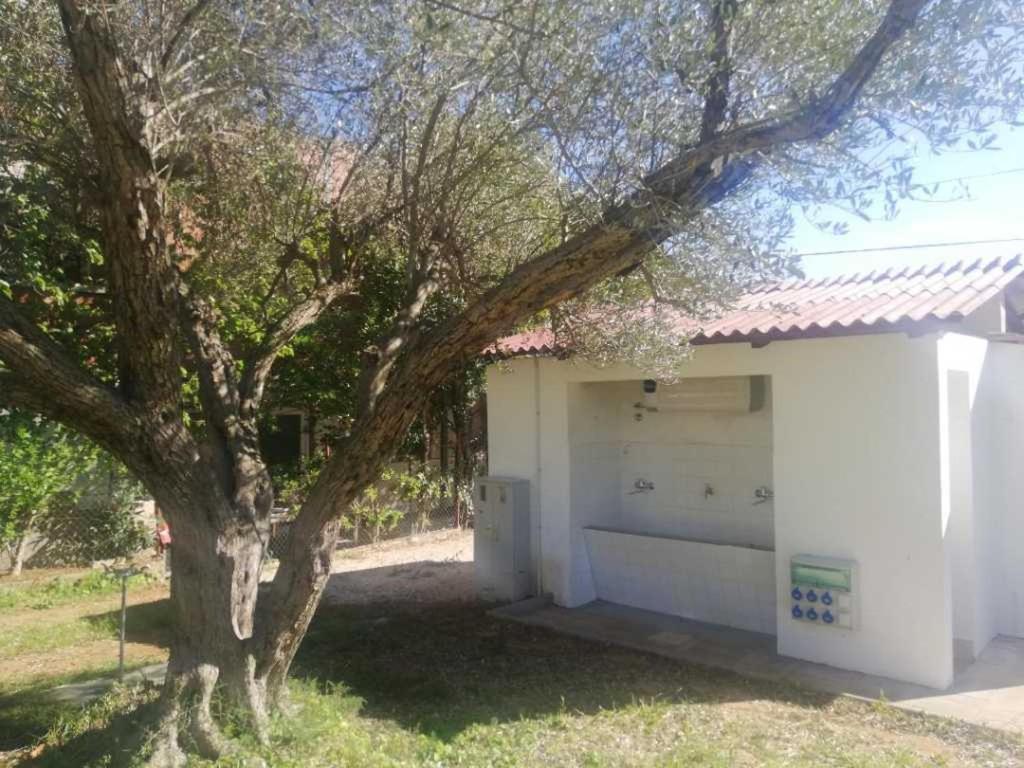 S&M Camping Sveti Filip i Jakov Exterior photo