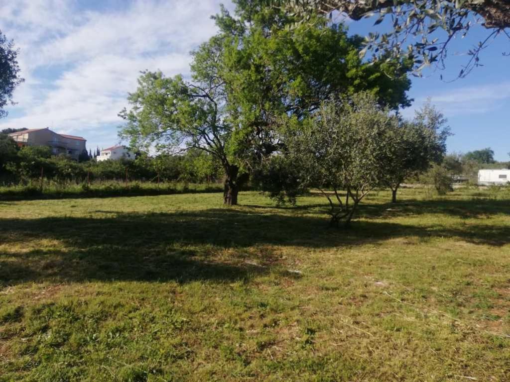 S&M Camping Sveti Filip i Jakov Exterior photo
